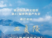 “西夏陵”，申遗成功！